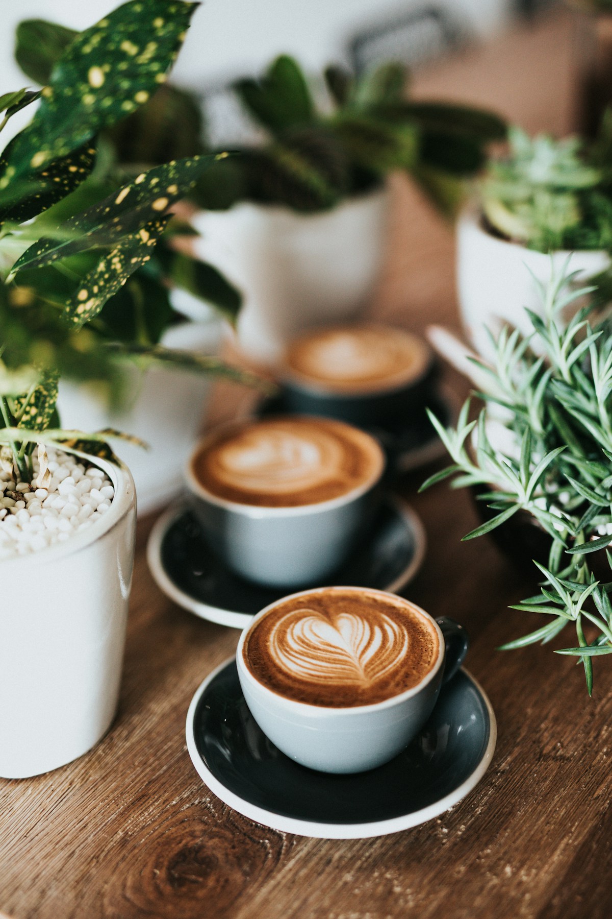A professional office coffee station — get in touch to set up your own